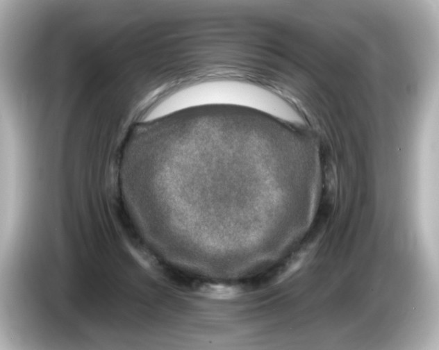 X0000085780352200704091416