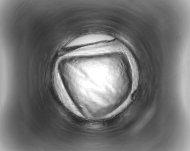 X0000085780353200704091416