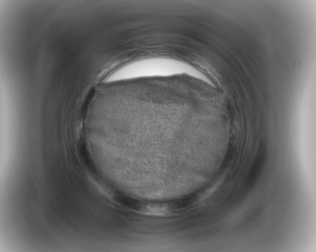 X0000085780355200704091416