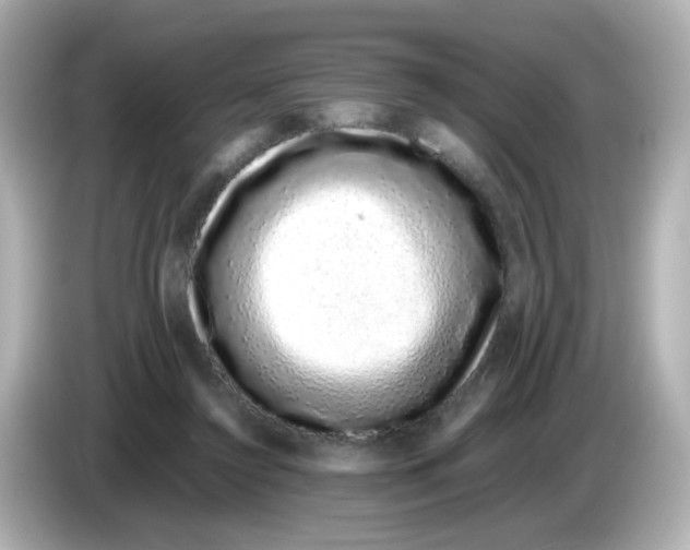 X0000085780356200704091416