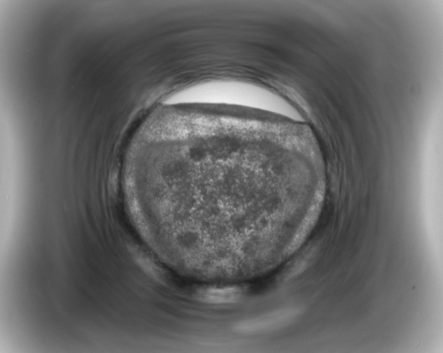 X0000085780357200704091416