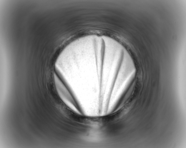 X0000085780359200704091416