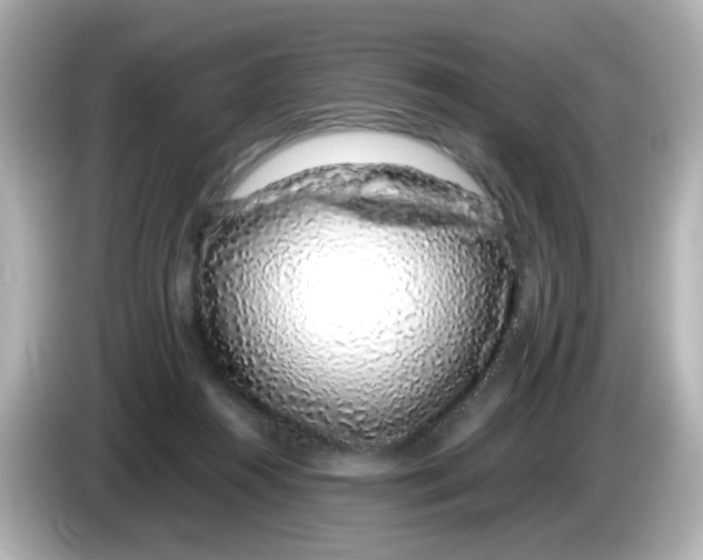 X0000085780360200704091416