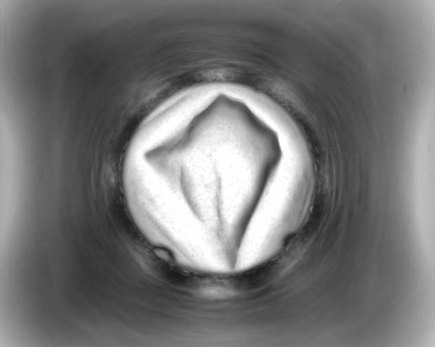 X0000085780363200704091416