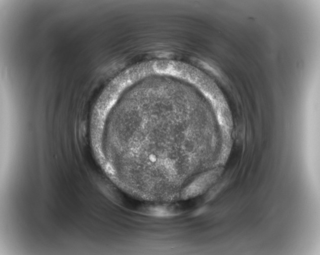 X0000085780365200704091416