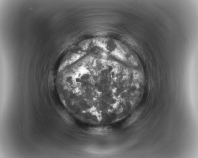 X0000085780366200704091416