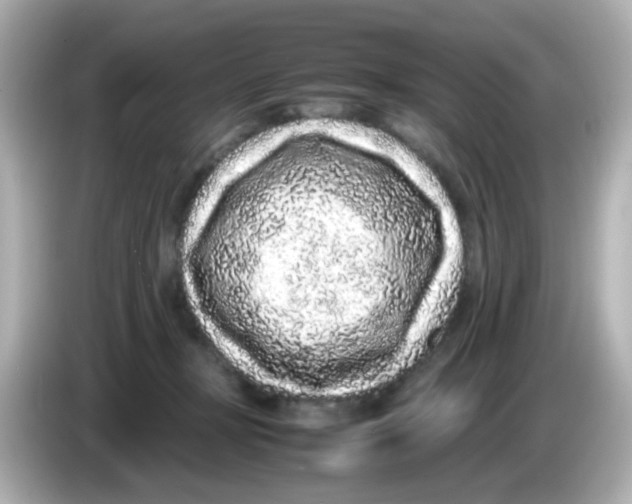 X0000085780367200704091416