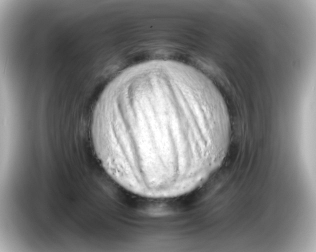 X0000085780369200704091416