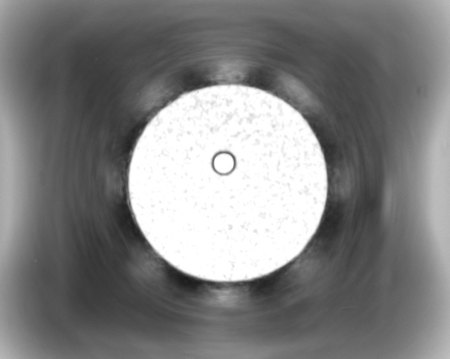 X0000085780370200704091416