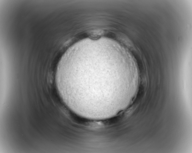 X0000085780374200704091416