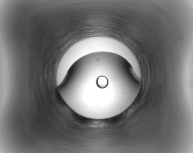 X0000085780376200704091416