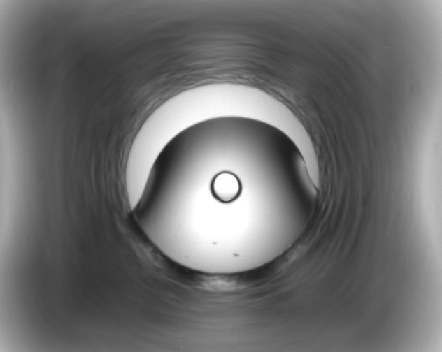 X0000085780380200704091416