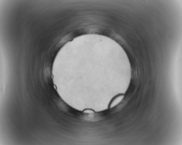 X0000085780382200704091416