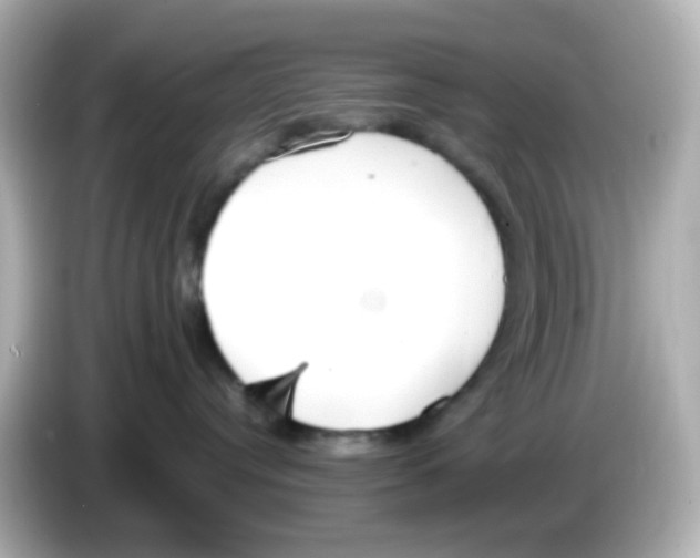 X0000085780384200704091416