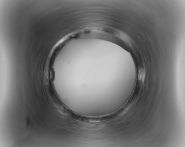 X0000085780388200704091416