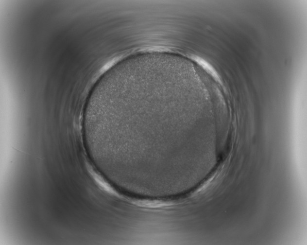 X0000085780389200704091416