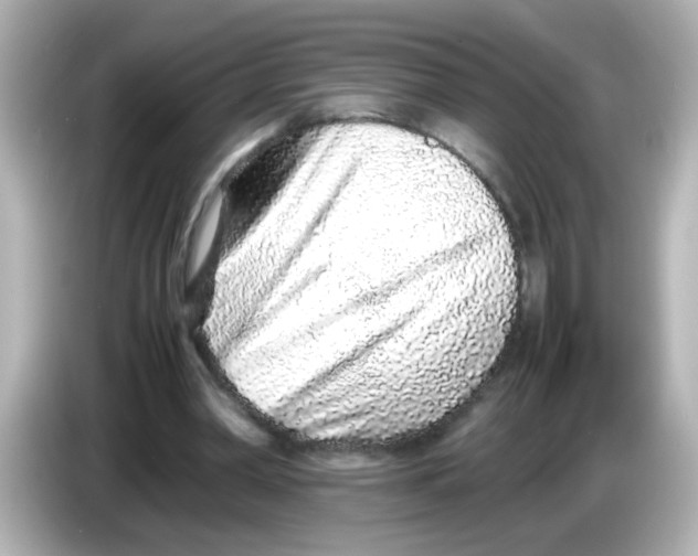 X0000085780390200704091416