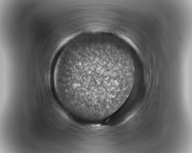 X0000085780391200704091415