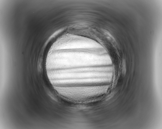 X0000085780392200704091415