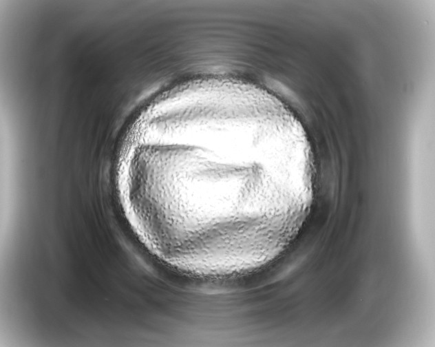 X0000085780394200704091415