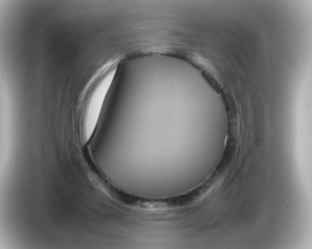 X0000085780395200704091415