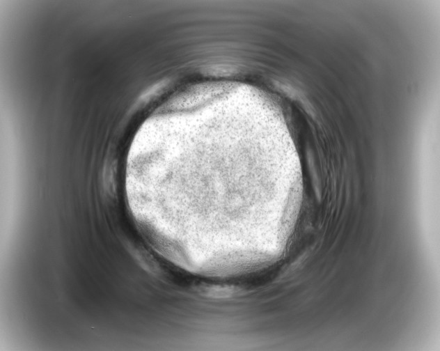 X0000085780400200704091415