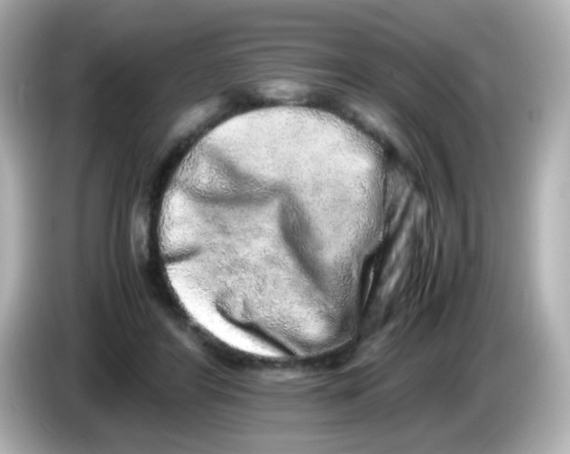 X0000085780404200704091415