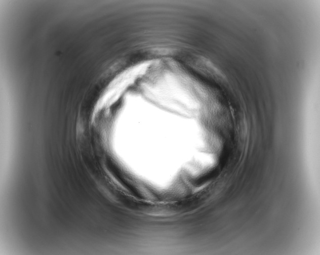 X0000085780406200704091415