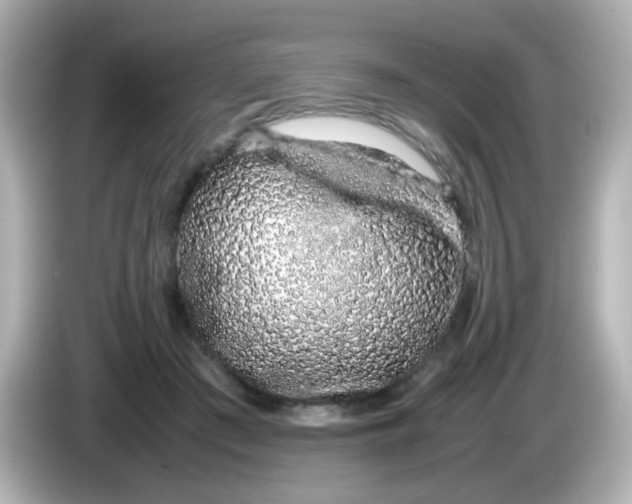 X0000085780409200704091415