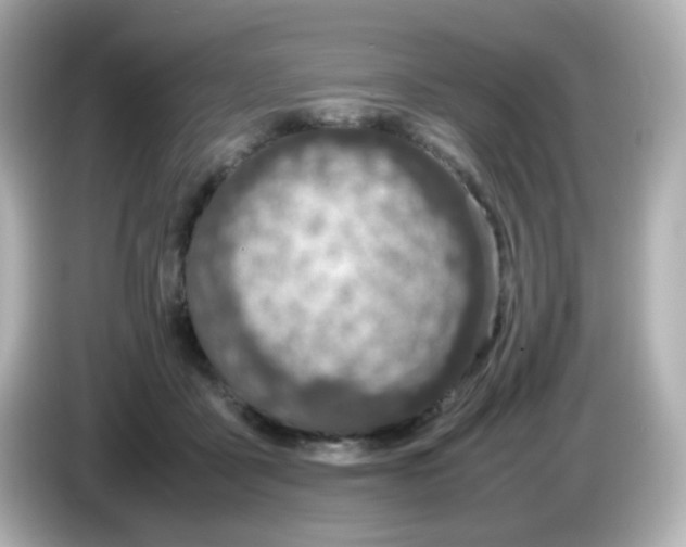 X0000085780411200704091415