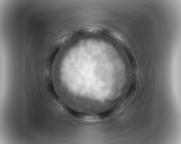 X0000085780415200704091415