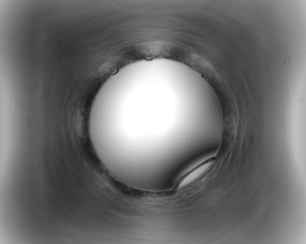 X0000085780416200704091415