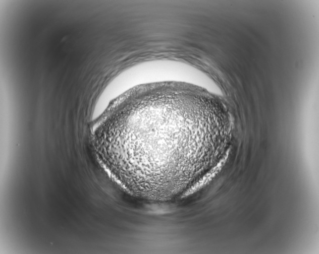 X0000085780417200704091415