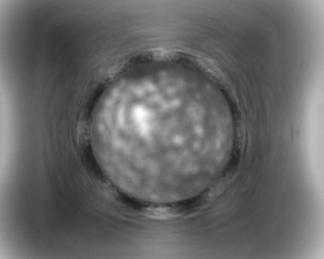 X0000085780419200704091415