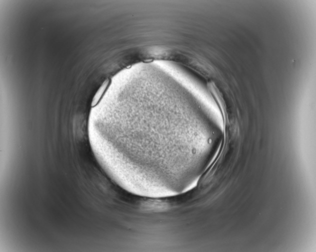 X0000085780421200704091415