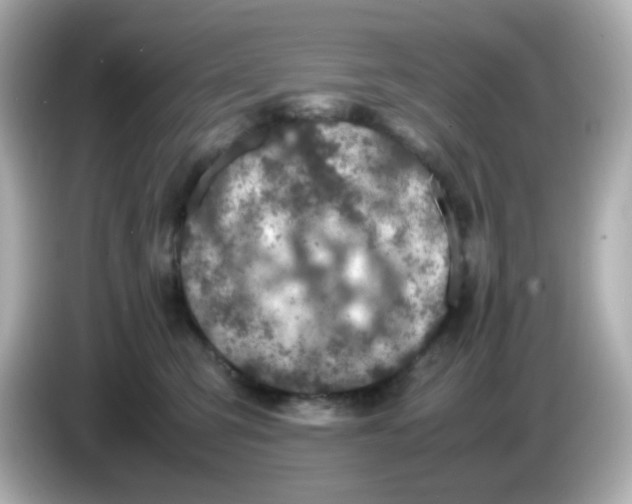 X0000085780423200704091415