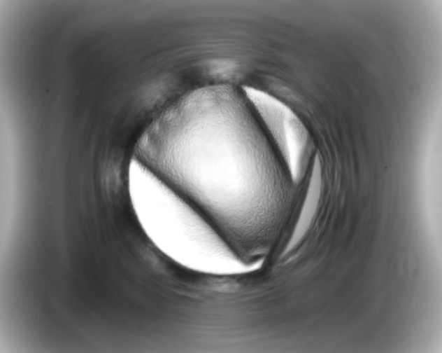 X0000085780424200704091415