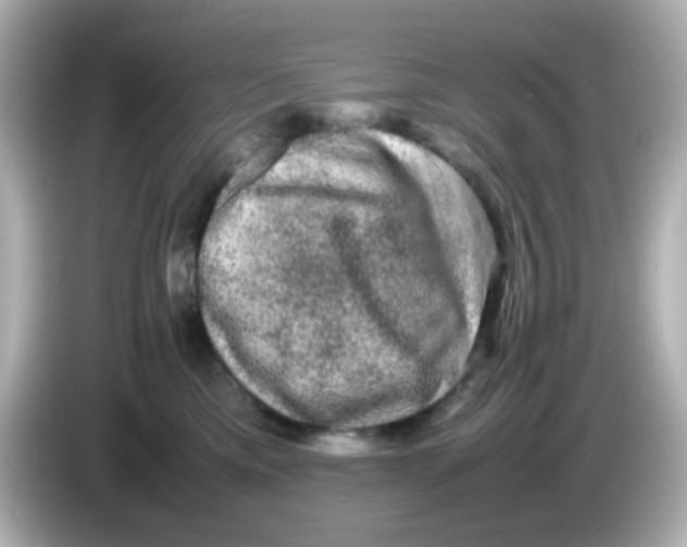 X0000085780425200704091415