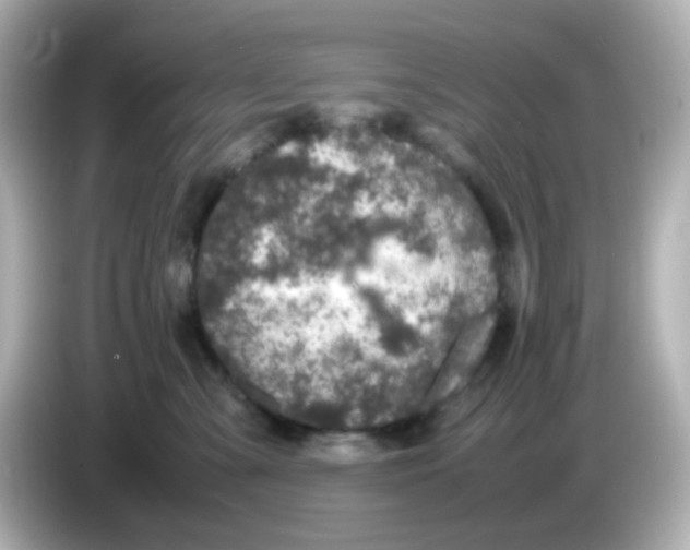 X0000085780427200704091415