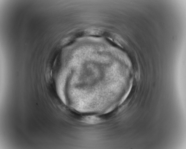 X0000085780429200704091415