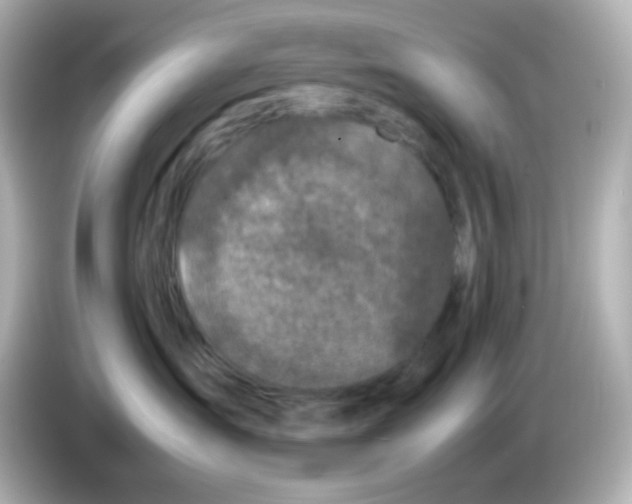 X0000085780431200704091415