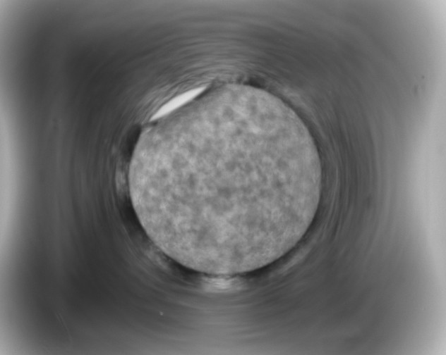 X0000085780432200704091415