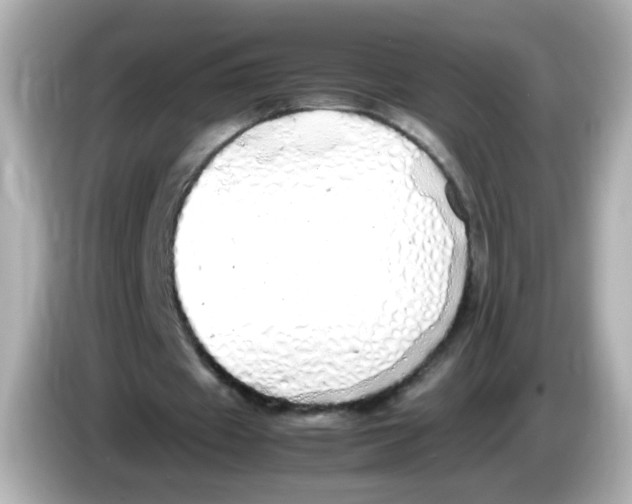 X0000085780433200704091414