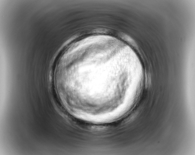 X0000085780435200704091414