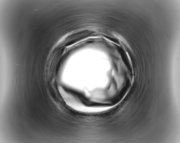 X0000085780436200704091414