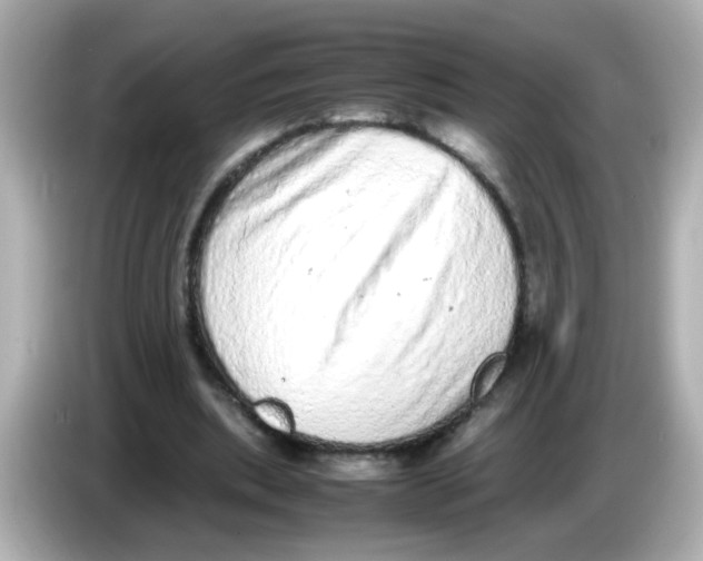 X0000085780439200704091415