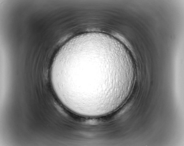 X0000085780441200704091415