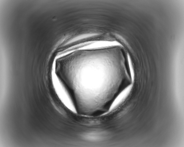 X0000085780443200704091415