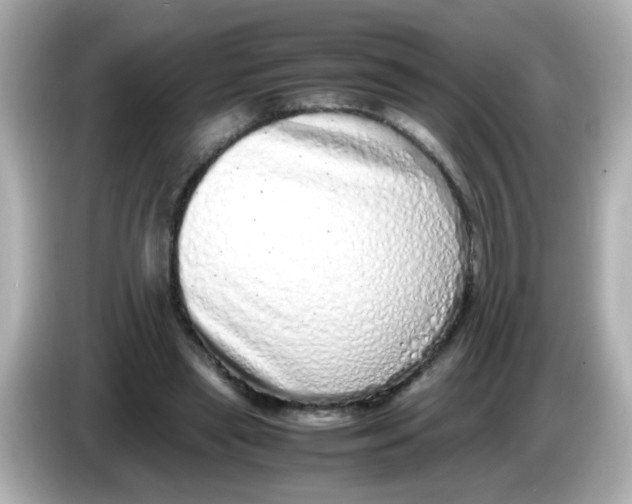 X0000085780445200704091415