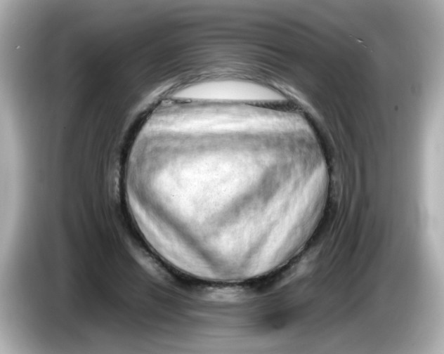 X0000085780446200704091415